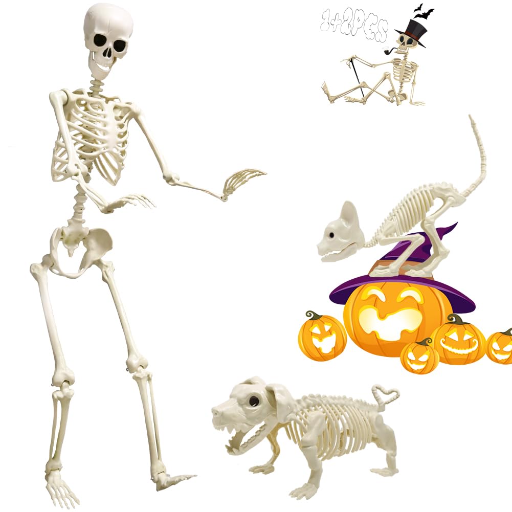 LUKBERA Posable Halloween Skeletons, 1Pcs 5.9ft Life Size Human Skeleton with Movable Joints for Halloween Haunted House Decoration
