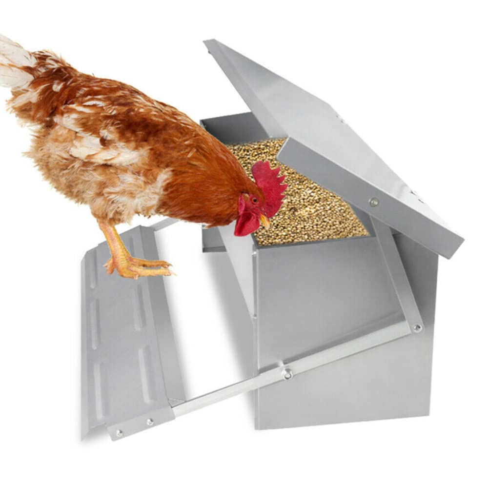 Tubiaz Comedero automático para gallinas, comedero de 5 kg, con tapa, comedero para pollos, resistente a la intemperie, pedal de pie con apertura automática, para pollos, patos, pavos