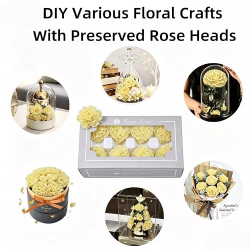 Preserved Carnation Heads 8 Pzs, Flores Eternas Naturales miniatura 5
