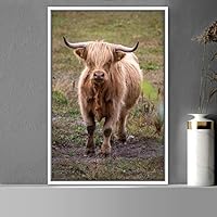 Framed Canvas Wall Art Bison Animals Expressive Farmhouse/Country Goat Living Room Multicolor Photography - 16x24 inches