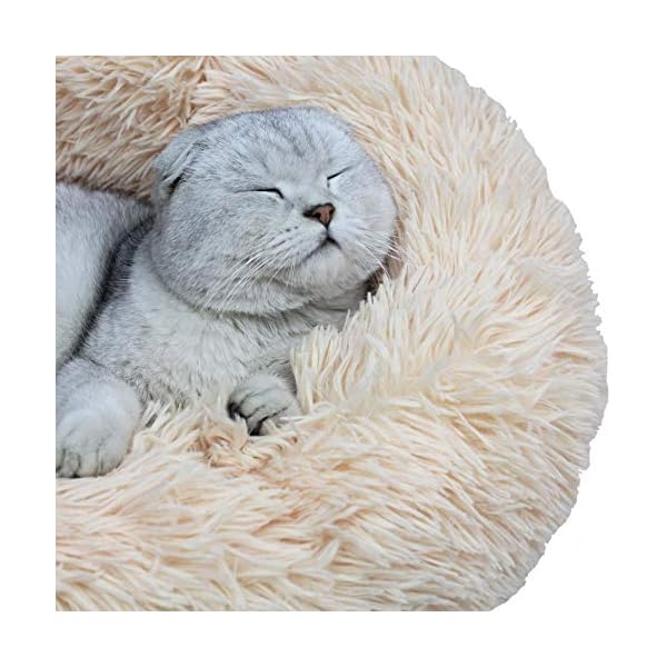 BODISEINT WonderKathy Haustierbett für Katzen oder kleine Hunde, modernes weiches Plüsch-Haustierbett für Katzen oder kleine Hunde, mittelgroß, selbstwärmend, für Herbst und Winter, für den – Bild 5