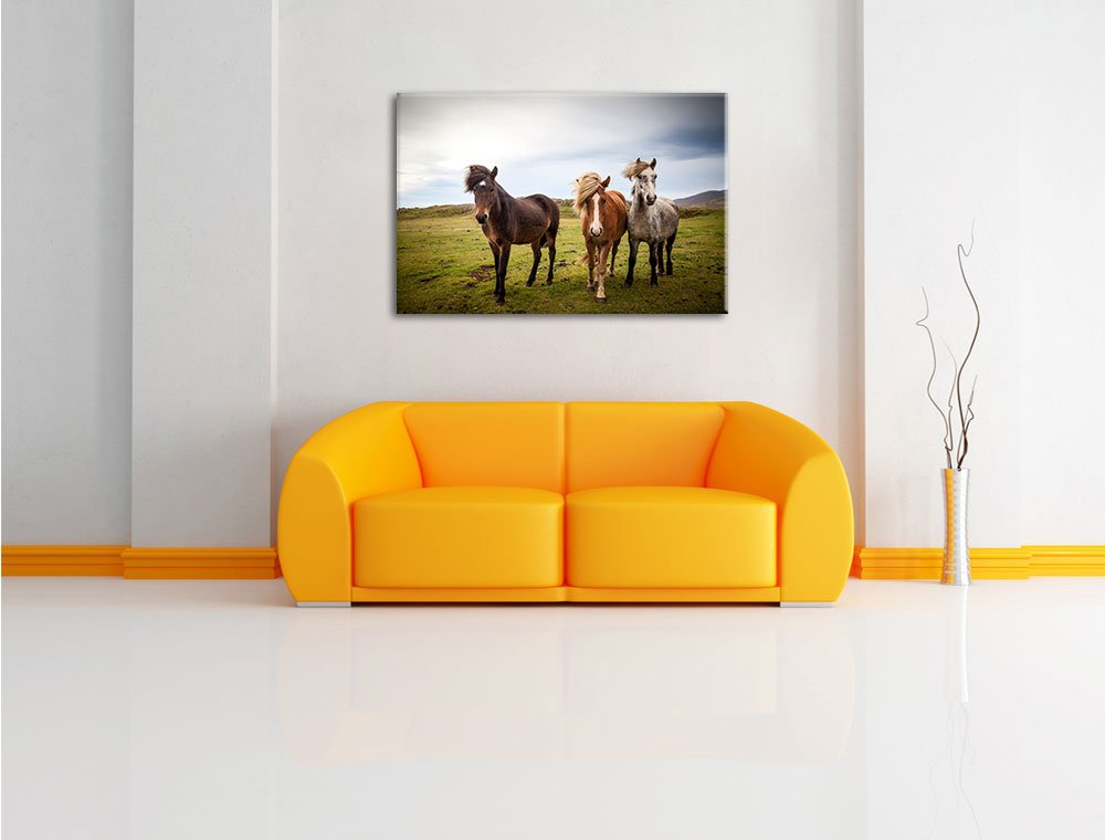 Pixxprint Drei wilde Islandpferde, Größe: 120x80cm, Leinwandbild, fertig gespannt, Wandbild, Dekoration, Kunstdruck, kein Poster