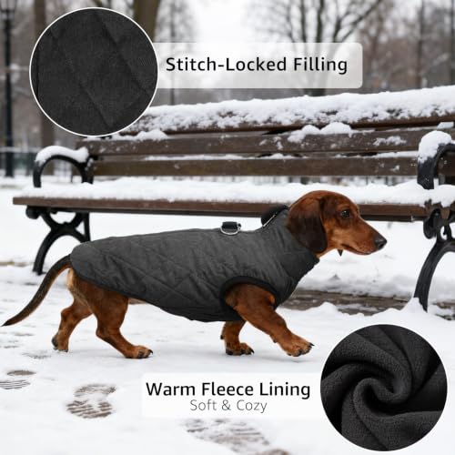 Image of SCENEREAL Dachshund Winter Dog Vest Coat with Harness Built in