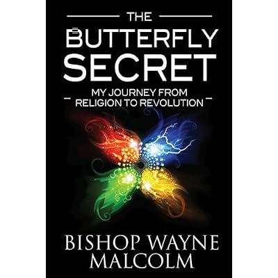 The Butterfly Secret