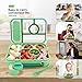 Amathley Bento Box Adult Lunch Box Kids,Lunch Containers for Adults/Kids/Toddler,5 Compartments Bento Lunch Box with Sauce Vontainers,Microwave & Dishwasher & Freezer Safe,BPA-Free(Green)