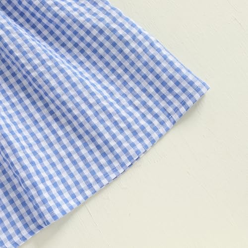 Little Girl Back to School Outfit Apple Short Sleeve Plaid Dress First Day of School Class Clothes4