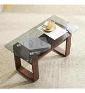 Amazon.co.jp: オーエスジェイ(OSJ) ローテーブル センターテーブル
