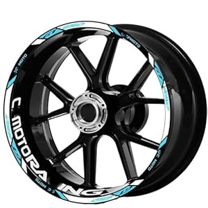 51c8pp82hfl. sl500 . ss300