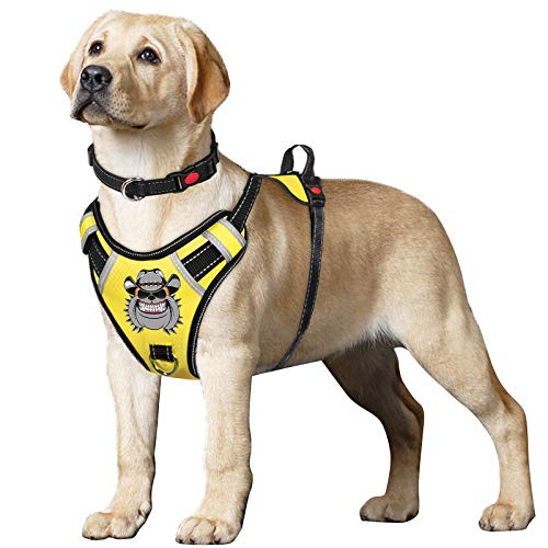 The Best Dog Harness For Husky Get The Perfect Fit For Your Furry Friend