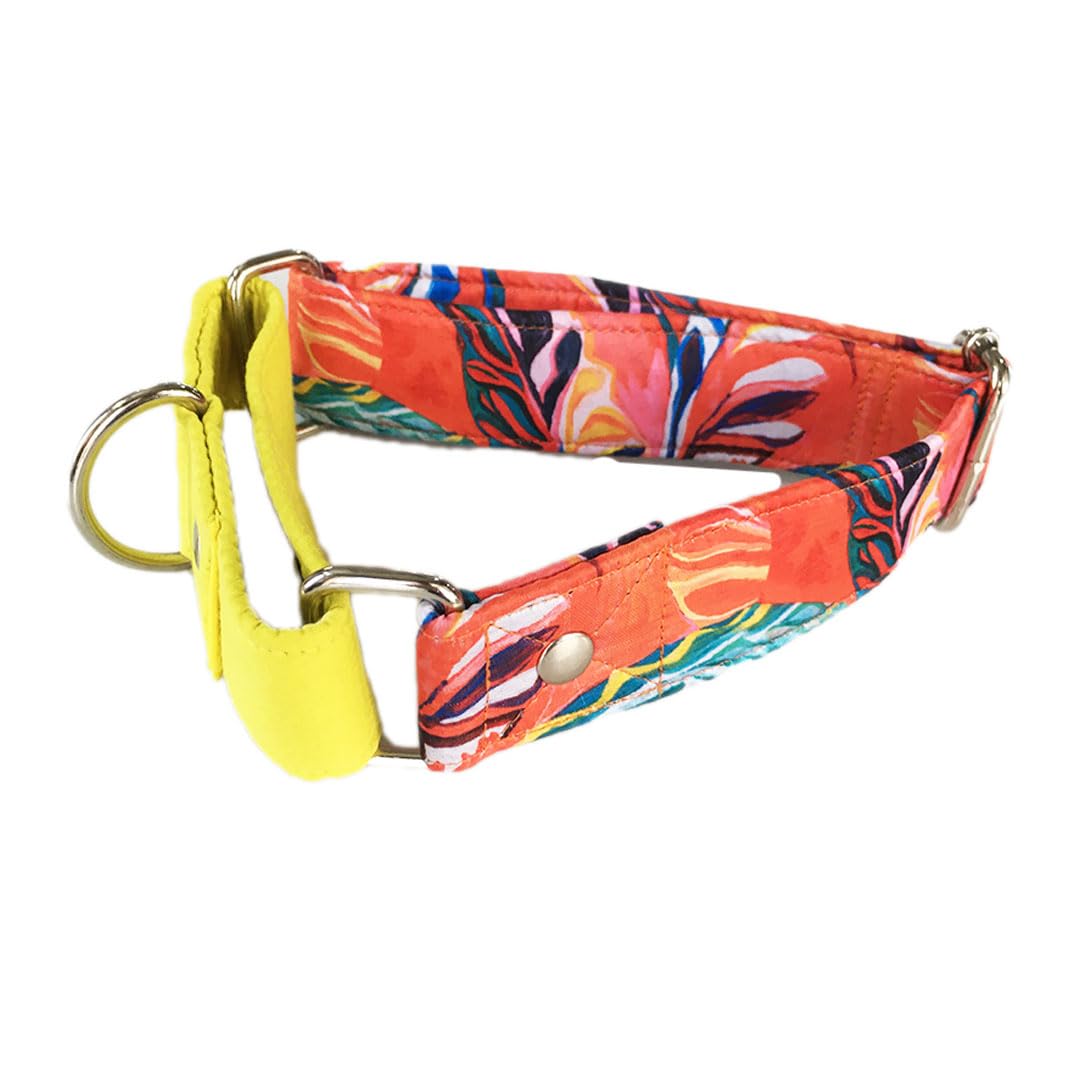 Dog-O-Bow Red and Yellow Martingale Collar for Dogs (Medium) (B0CXPXN3T7) Amazon Price History, Amazon Price Tracker