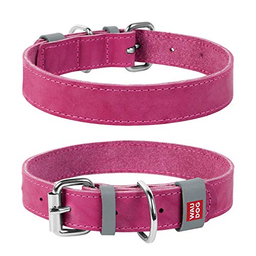 Halsband WAU Dog Classic Leder Hund für kleine Hunde, mittelgroße Hunde, große Hunde | bestes Leder für Hunde, XXS- 1/2' Width X 7 1/2' - 10' Length, rose