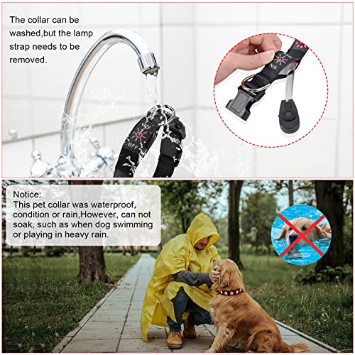 AUAUY Hundehalsband Leuchtend, LED Leuchthalsband Hunde Halsband USB Wiederaufladbar Wasserdichtes für Kleine Mittlere Große Haustier Einstellbar Sicherheit Kragen mit 3 Beleuchtungsmodi (Rot-M)