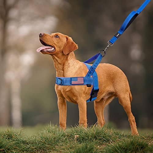Annchwool No Pull Dog Harness With Soft Padded Handle,Reflective Strip Escape Proof And Quick Fit To Adjust Dog Harness,Easy For Training Walking For Small & Medium And Large Dog(Blue,L) #TOP6