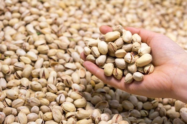 Image of JB&CO Premium Roasted & Salted Pistachios (Pista) | Crunchy In-Shell California Nuts | High Protein Healthy Snack | Lightly Salted 250g x 1