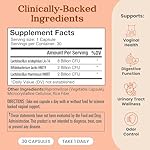 WforHer Vaginal Support Probiotics for Women -Feminine Care - Support Healthy Vaginal Flora and pH Balance - Clinically Tested – 30 Capsules (Pack of 1) - Image 2