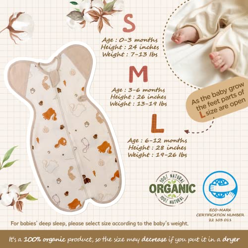 Ccoccozam Swaddle, All Season Soft 100% Organic Gots Cotton, Squirrel, Medium, 3-6 Momths, 13-19Lbs, Transition Baby Sleep Sack, Dramatically Better Sleep #TOP4