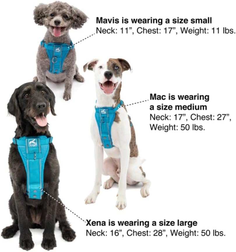 Discover the Kurgo Tru-Fit No Pull Dog Harness: Your Ultimate Guide for Easy Walks and Safe Car Rides!