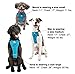 Kurgo Tru-Fit Smart Dog Walking Harness - Comfortable Fit - Adjustable Harness - Reflective Pet Wear - Quick Strap Release - Daily Walk Accessory - Includes Seat Belt Loop - Black - Medium