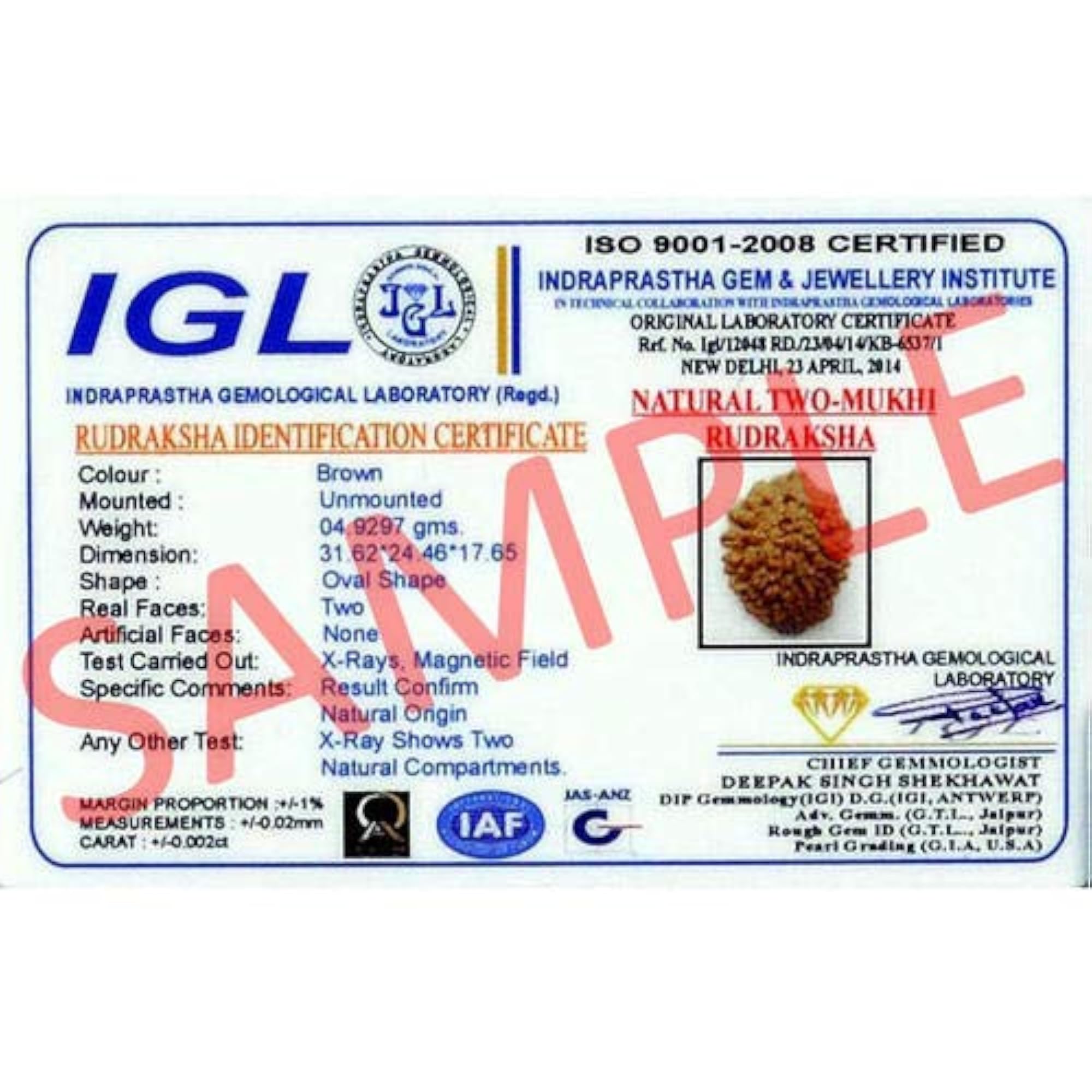 2 Mukhi Natural Nepal Rudraksha for Mantra Jaap with Lab Certification