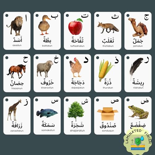 Arabic Alphabet Flash Cards for Kids Toddler and Adults, Arabic First Words, Letter Recognition, Homeschool Learning, Arabic Teacher by Albidaya Islamic Store - Image 3