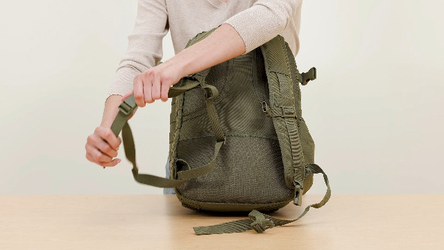 SOG Ninja Tactical Day Pack, 24.2-Liter, Olive, Internal Frame