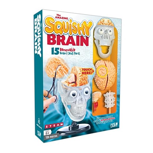 SmartLab Toys The Amazing Squishy Brain
