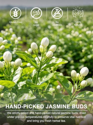 Image of TeeLux Dried Jasmine Buds, Edible Jasmine Flowers for Tea & Baking, 3.5oz