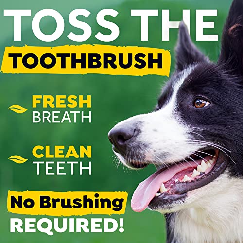 Tropiclean Fresh Breath Original | Dog Oral Care Water Additive | Dog Breath Freshener Additive For Dental Health | Vohc Certified | Made In The Usa | 33.8 Oz. #TOP1
