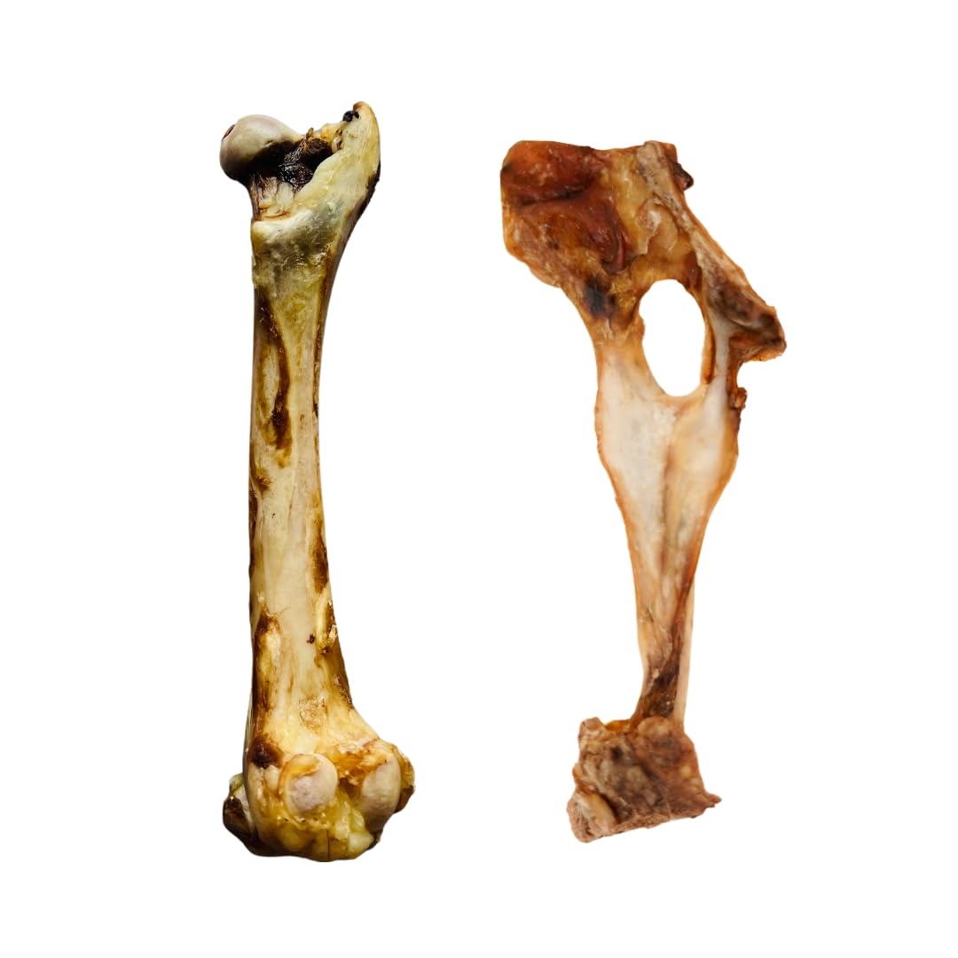 FloofYou Goat Bone Long Chew Dehydrated Natural Healthy Dog Treat with Goat Hip Bone Dehydrated Natural Healthy Dog Treat & Chew Combo (B0D3B4TX1L) Amazon Price History, Amazon Price Tracker
