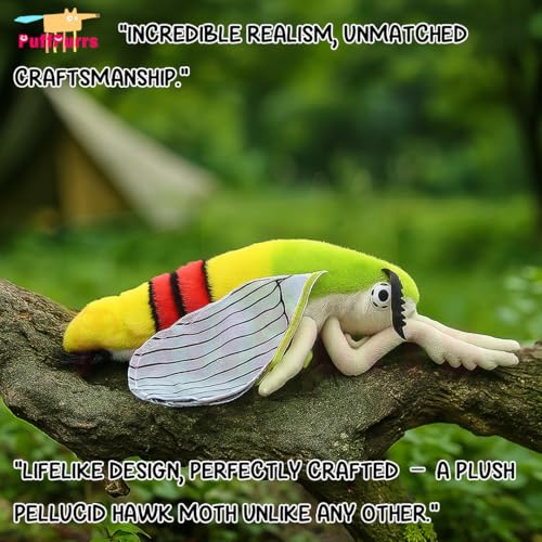 PuffPurrs Lifelike Pellucid Hawk Moth Toy, Realistic Transparent Wings Teddy Stuffed Animal - Image 3