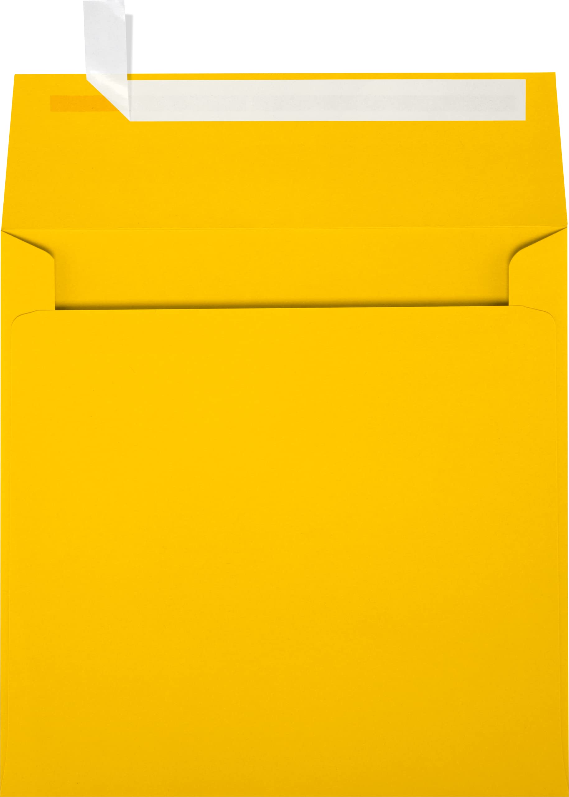 LUXPaper Square Invitation Envelopes | Peel & Press | 6 1/2