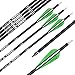 Archery Bow Carbon Arrow Hunting Target Practice Arrows 26 Inch with Removable Tips for Compound & Recurve Bow Spine 500 12PCS Pack
