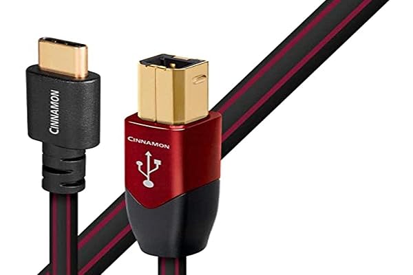 AudioQuest Cinnamon 1.5m USB B to C Cable Review - Dettaglio