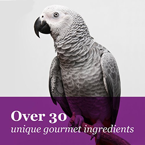 Tropical Carnival 44683 F.M. Brown'S Tropical Carnival Gourmet Large Hookbill Food For Parrots, Cockatoos And Macaws Over 13" thumb #7
