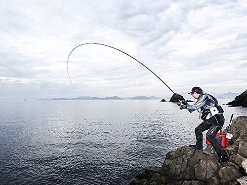 シマノ(SHIMANO) 磯竿 20 ライアーム 1号 530 6枚目