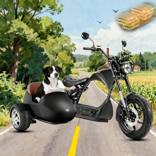 eAhora M1P Pro 4000W 50MPH Electric Motorcycle