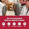 K9 Advantix II Medium Dog Tratamiento y prevención de pulgas, garrapatas y mosquitos recomendado por veterinarios | Perros de 11-20 lbs. | Suministro para 4 meses 5