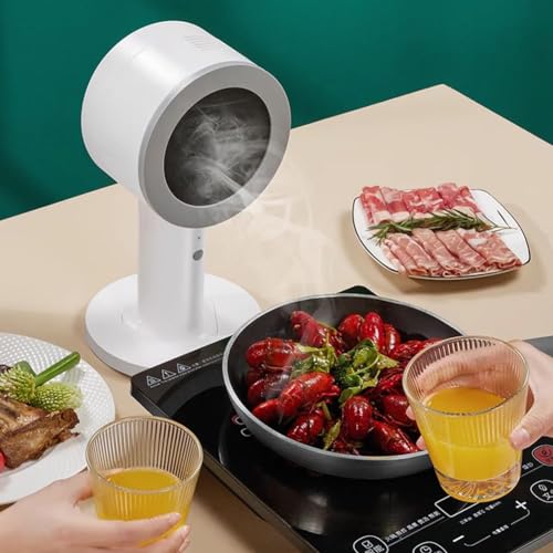 Hotte de cuisine portable compacte avec système de filtration des graisses