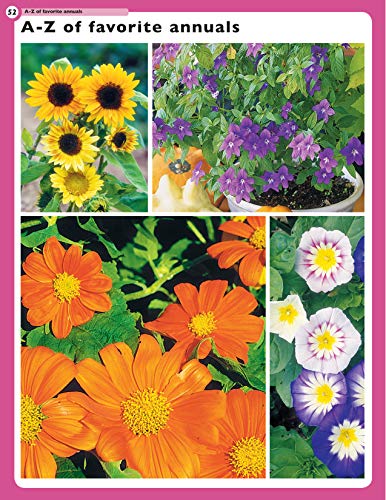 Fox Chapel Publishing 9781580118026 Home Gardener'S Annuals: The Complete Guide To Growing 37 Flowers In Your Backyard thumb #5