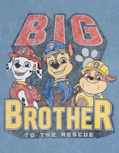 Paw Patrol Birthday T-Shirt Toddler to Little Kid Sizes (2T - 7-8)3