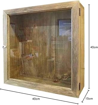 51C93jJG0zL._AC_UF350,