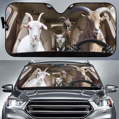 Couverture Pare-Brise Voiture Pliable Anti-UV Protection Intérieure Été M