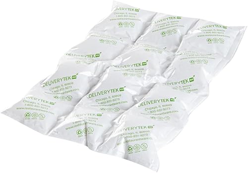 Restaurantware Delivery Tek - Hojas de hielo de 11.4 x 7.7 pulgadas, 10 paquetes fríos duraderos, diseño fácil de usar, a prueba de fugas, bolsas de