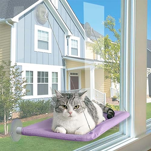 JinRui-T hamac chat ventouse lit fenêtre violet