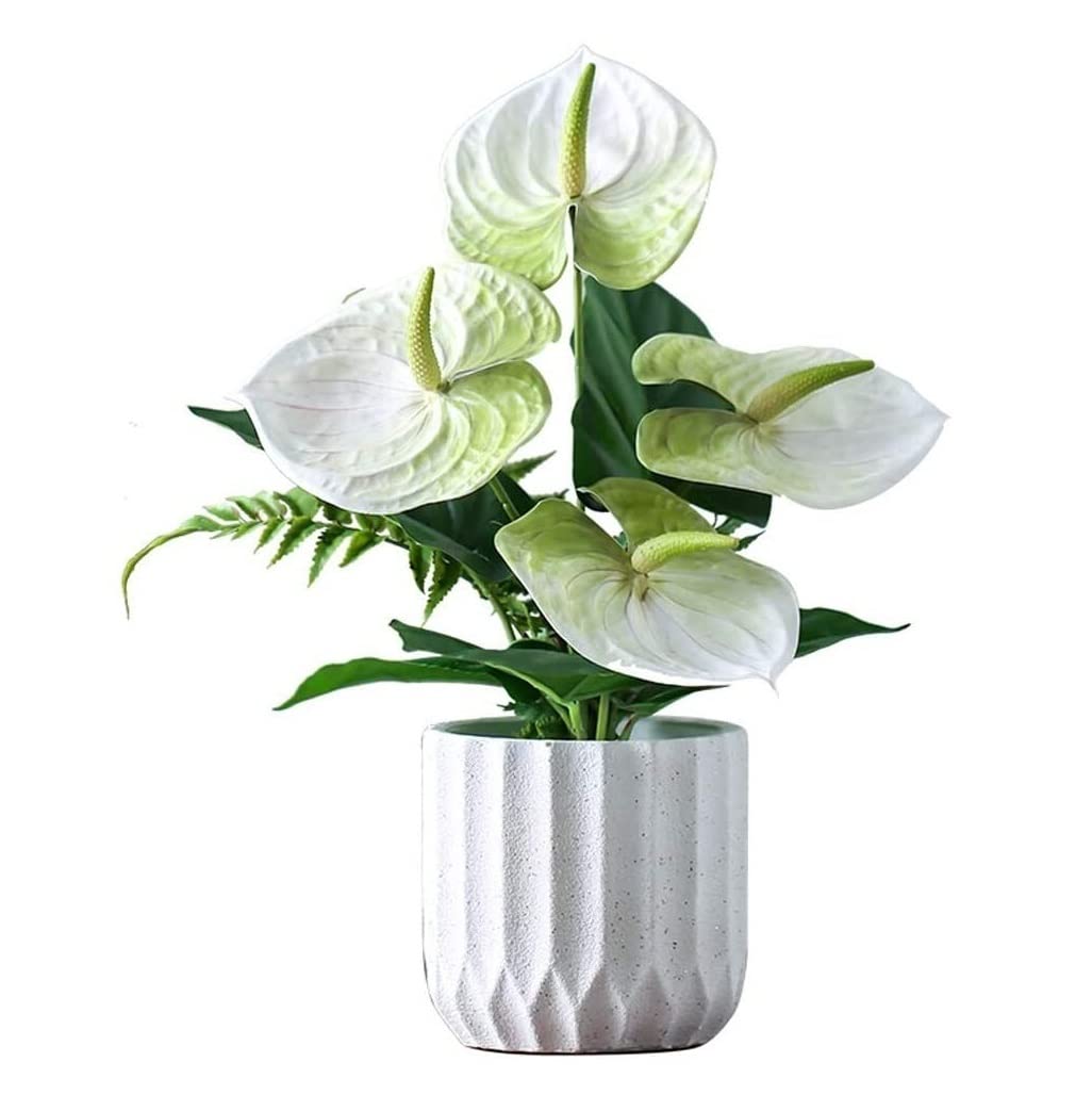 Aioneer Fake Artificial Flowers Fake Flower Artificial Flower Vase Set Home Decoration Living Room Ornamental Fake Flower Dry Bouquet Decor Flower Arrangements-A