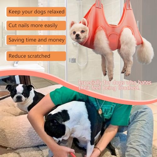 DaizySight Hundepflege Hängematte Set für Kleinen Hunde und Katze Haustier Krallen Friseur - Größe XS, Hängegeschirr für Nageltrimmen, Krallenschneider, Haustierpflege