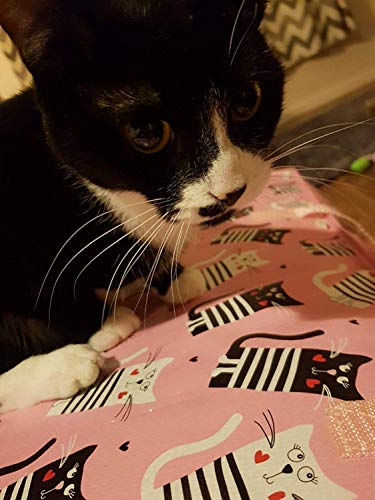 Ampia custodia Rosa con motivo a gatti bianchi e