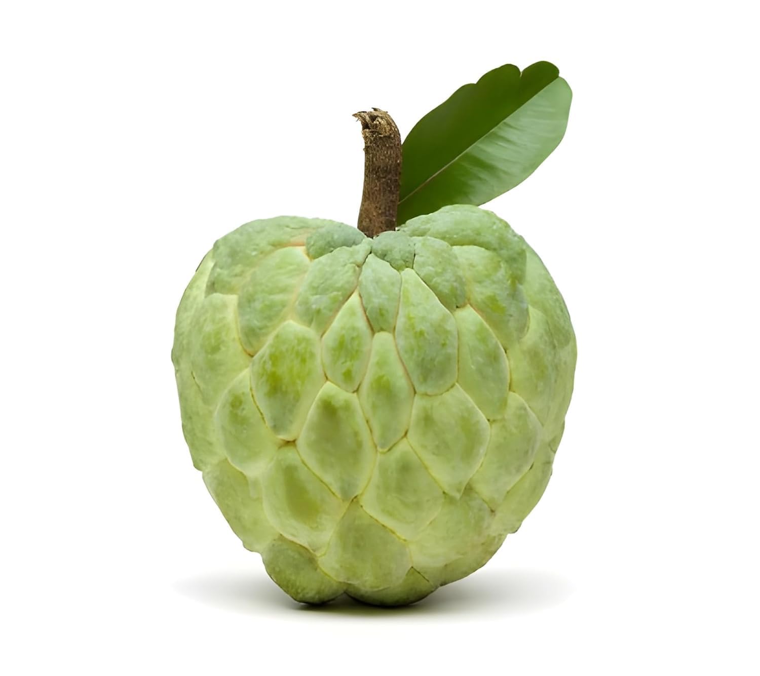 Generic Super Red Ganesh Hybrid Custard Apple Live Plant (Pack of 2) - Image 1