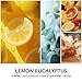 Molensun Lemon Eucalyptus Scented Candles, Mother's Day Gifts, Aromatherapy Jar Candle, 7 oz Long Lasting Candles, Soy Wax Candle Gift for Women