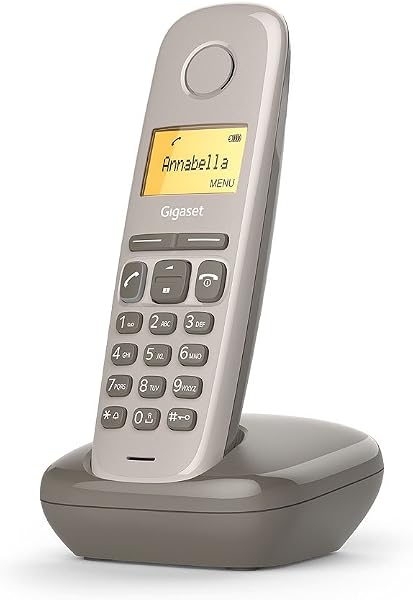 Gigaset A170 Solo - Teléfono Fijo inalámbrico DECT/Gap (versión Francesa) - 2